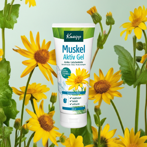 Muskel Aktiv Gel - bester-kauf.ch