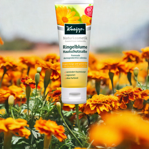 Ringelblume Hautschutzsalbe - bester-kauf.ch