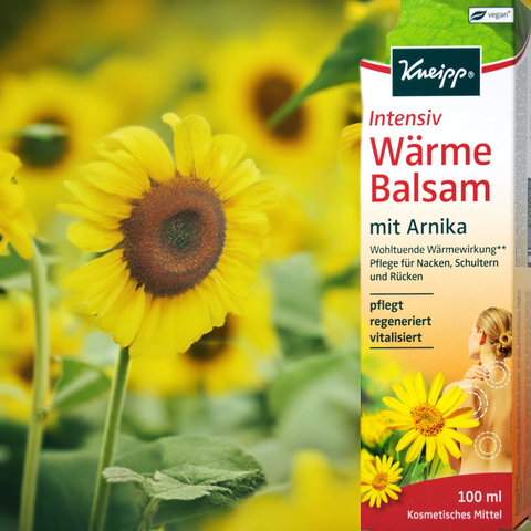Wärmebalsam mit Arnika - bester-kauf.ch