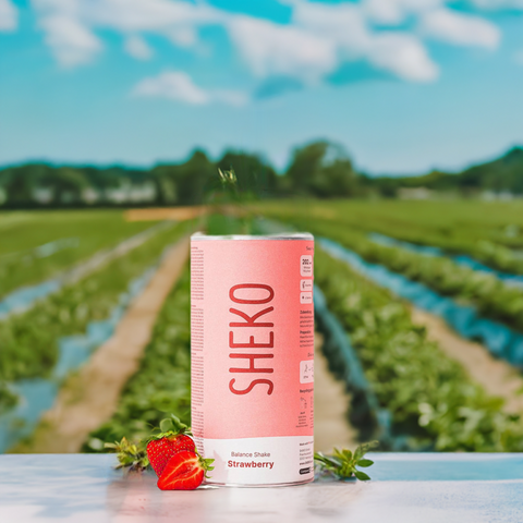 SHEKO Balance Shake Erdbeere (378g) – Genuss & Balance in einem Shake