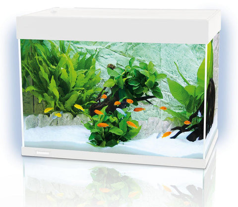 LED Aquarium F78, weiss