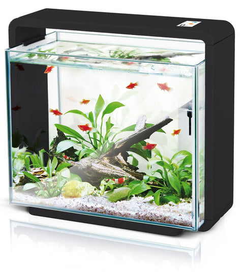 LED Aquarium E40, schwarz
