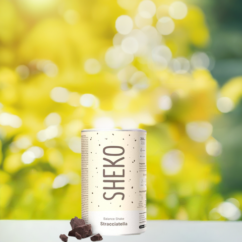 Sheko Balance Shake Stracciatella (378g) bester-kauf.ch