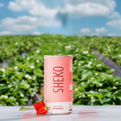 Sheko Diät Balance Shake Erdbeere (378g) bester-kauf.ch