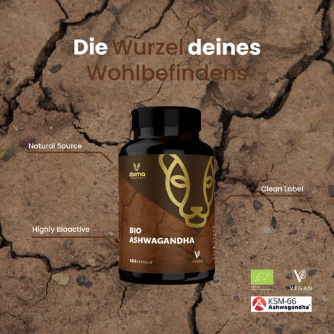 Bio Ashwagandha KSM-66 - bester-kauf.ch  