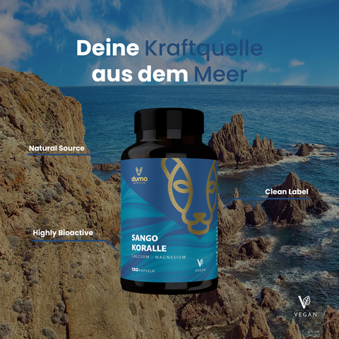 Sango Koralle - bester-kauf.ch  