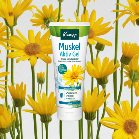 Muskel Aktiv Gel - bester-kauf.ch  