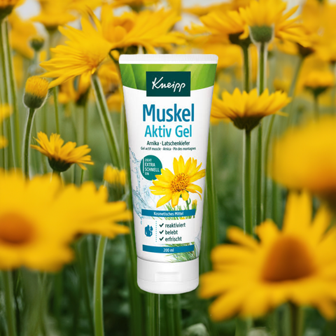Muskel Aktiv Gel - bester-kauf.ch  