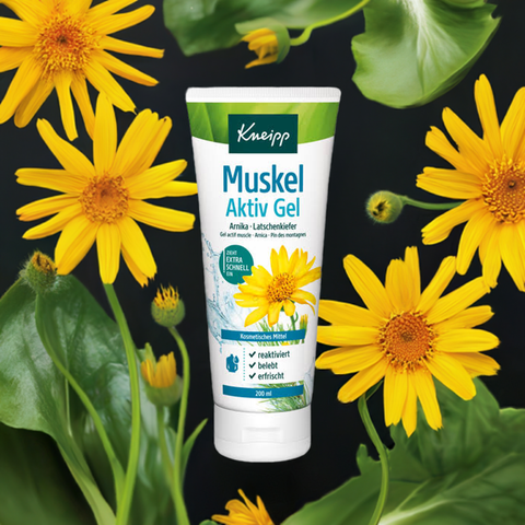 Muskel Aktiv Gel - bester-kauf.ch  