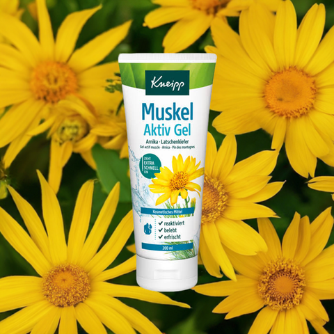 Muskel Aktiv Gel - bester-kauf.ch  