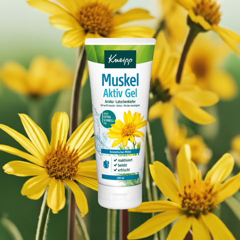 Muskel Aktiv Gel - bester-kauf.ch  