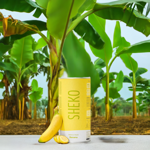 Sheko Diät Balance Shake Banane (378g) bester-kauf.ch